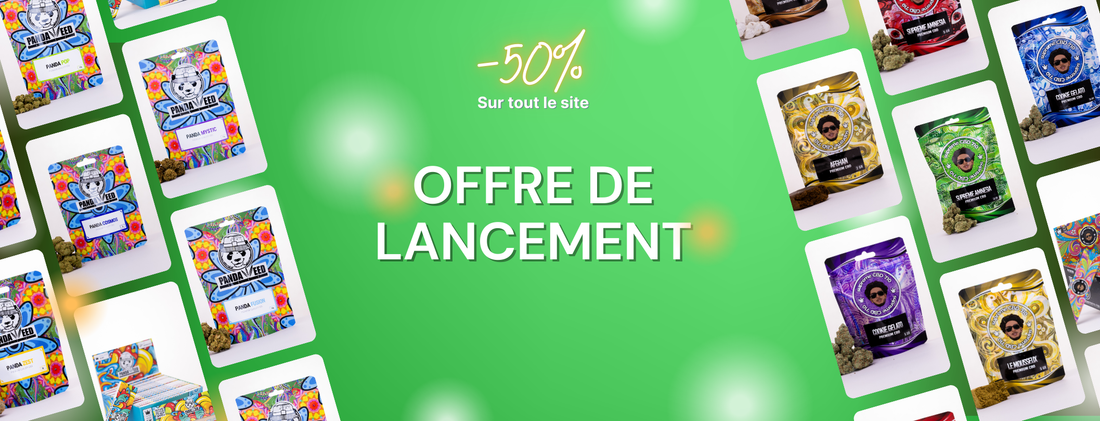 Page d'accueil